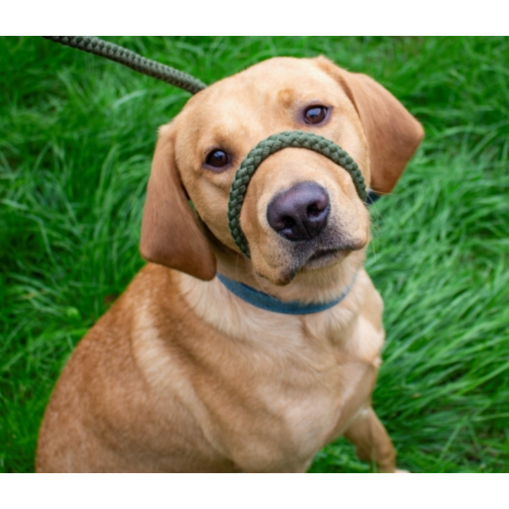 Heritage Rope Slip & Control Lead Green1.5mx12mm