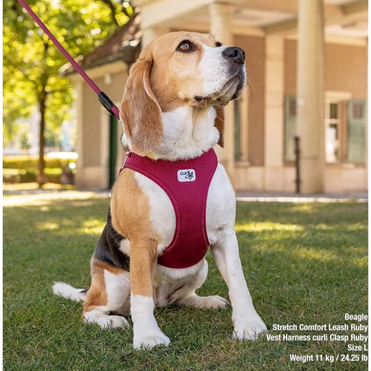 Curli Vest Dog Harness Clasp Air-Mesh Fuchsia - XS