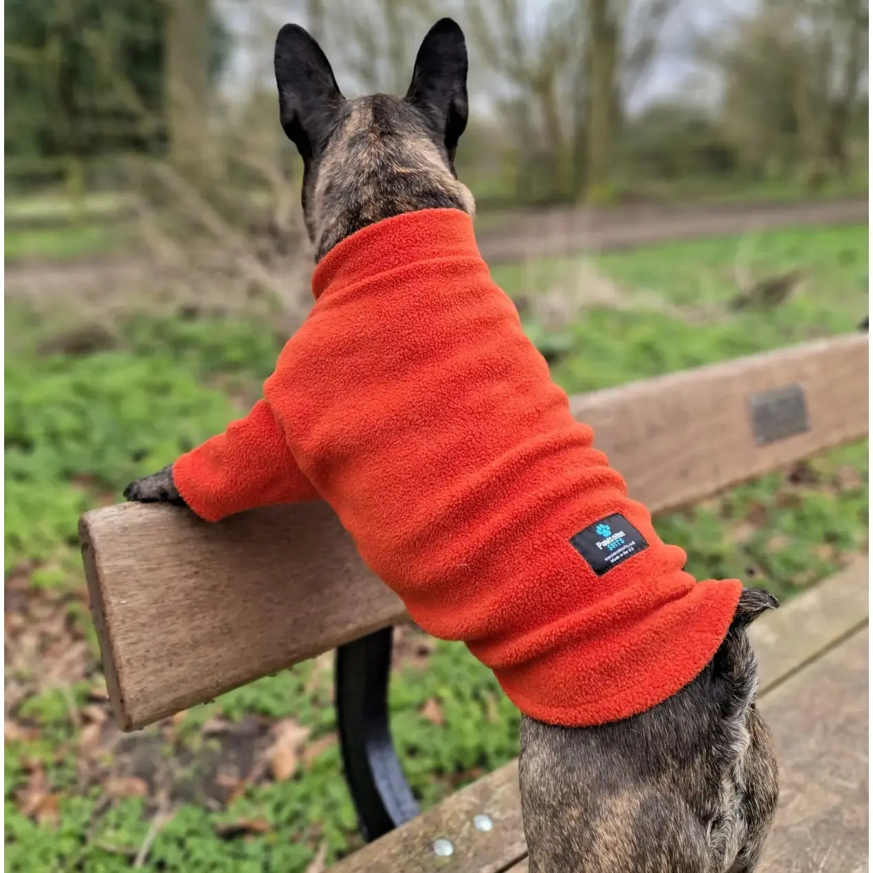 Pawsome Suits French Bulldog / Pug 2 Leg Fleece Suit Pawsome Suits