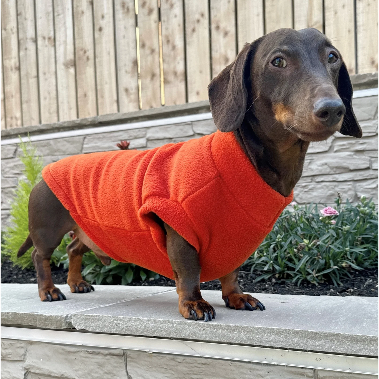 Pawsome Suits Dachshund Jumper In Polar Fleece