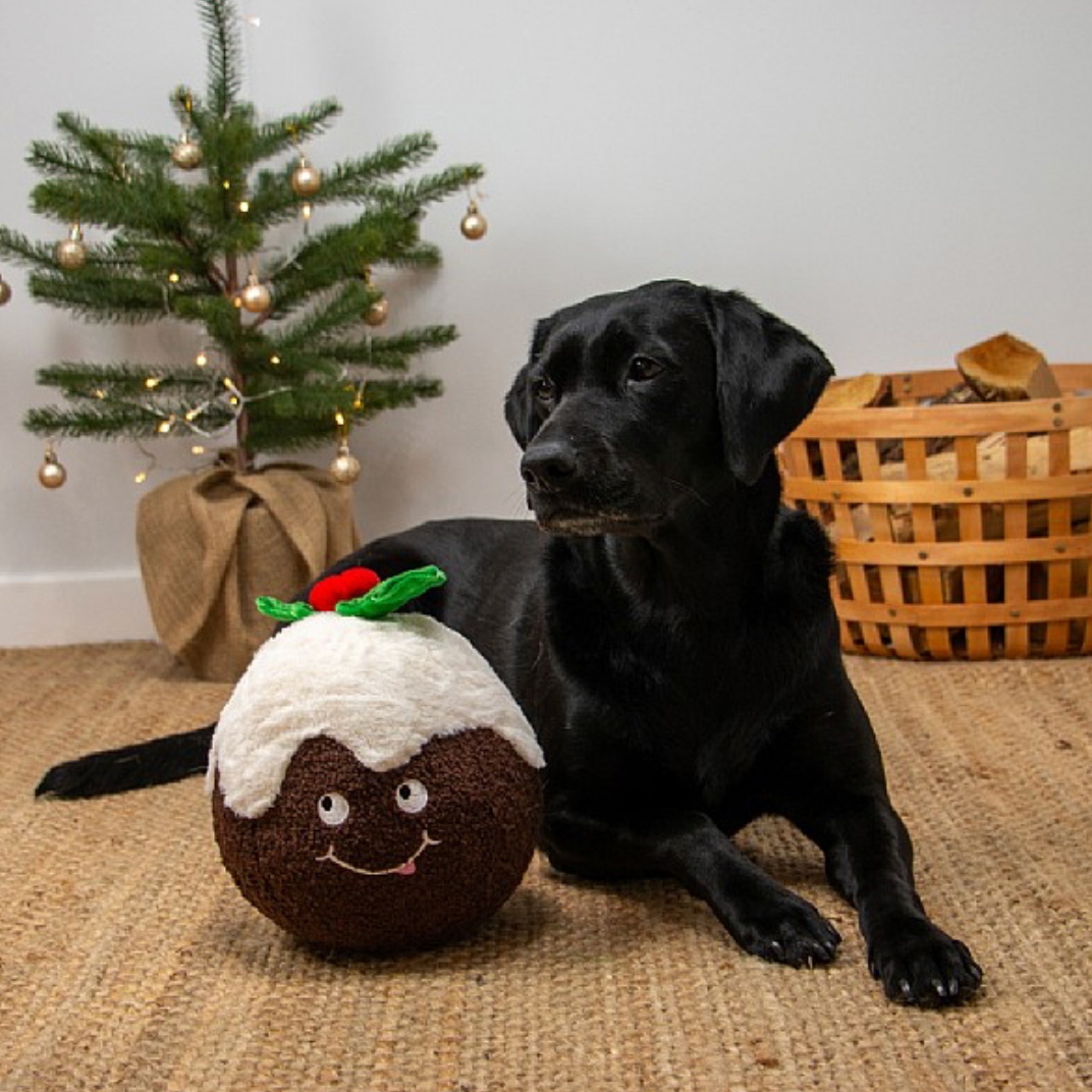 Ancol Colin Christmas Pudding Dog Toy