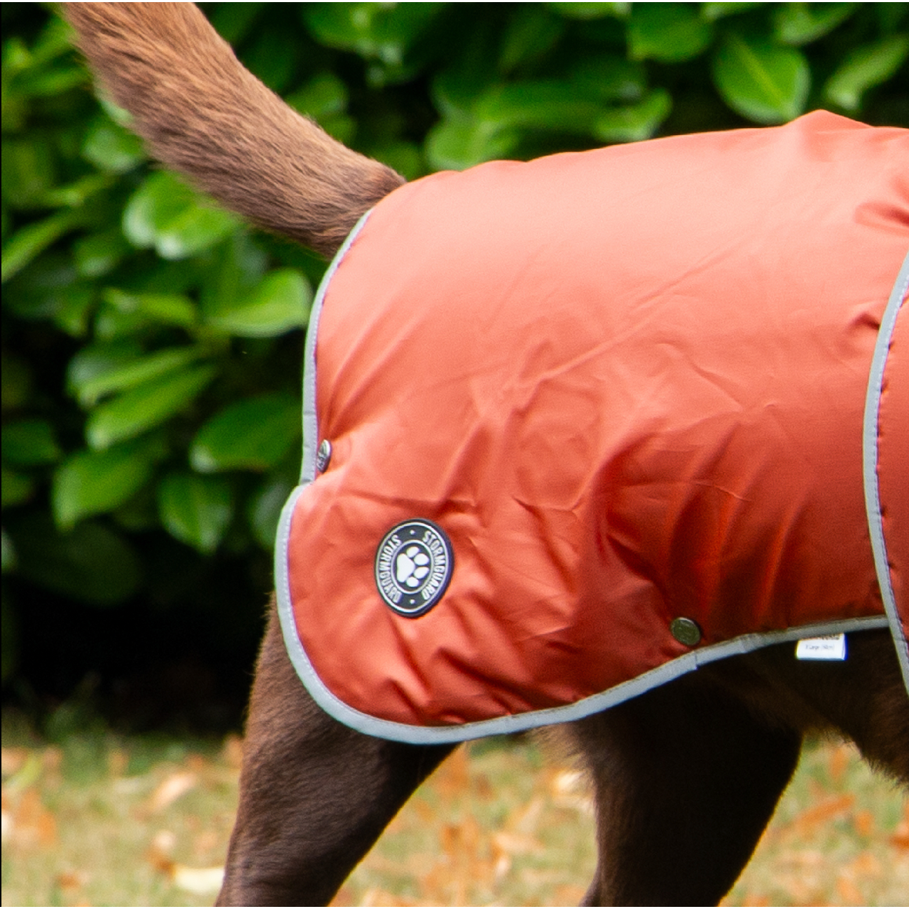 Stormguard Dog Coat Terracotta S