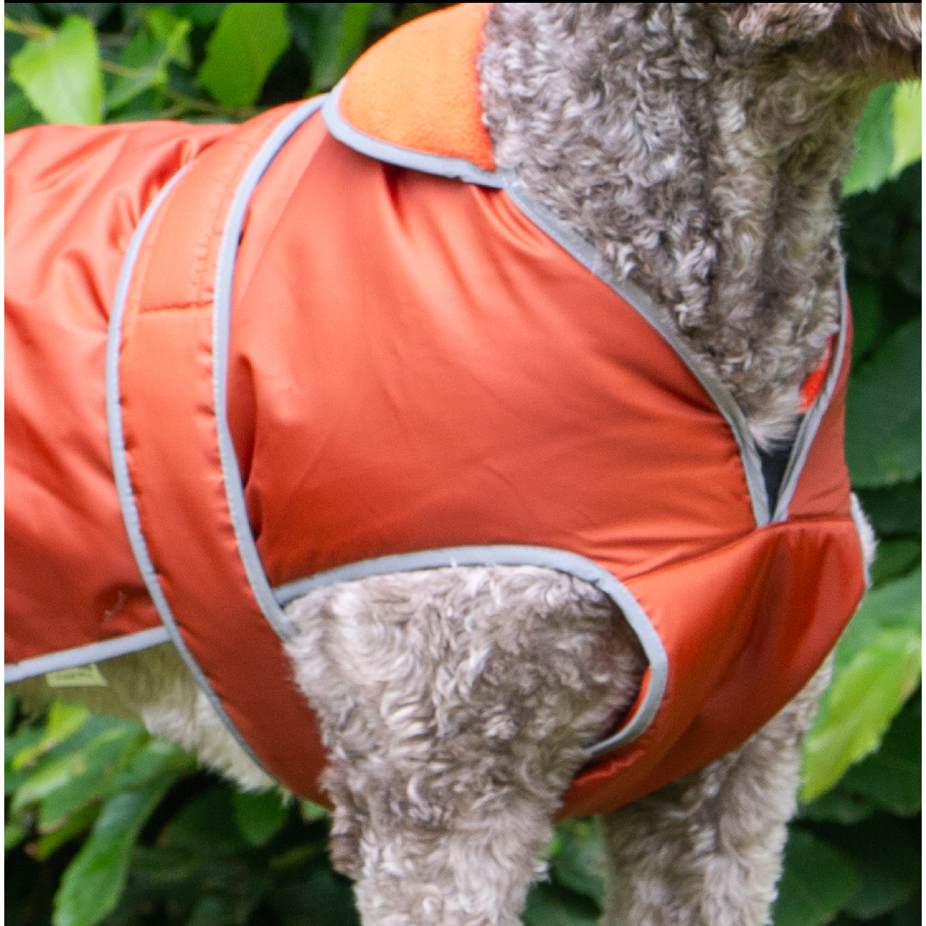 Stormguard Dog Coat Terracotta S