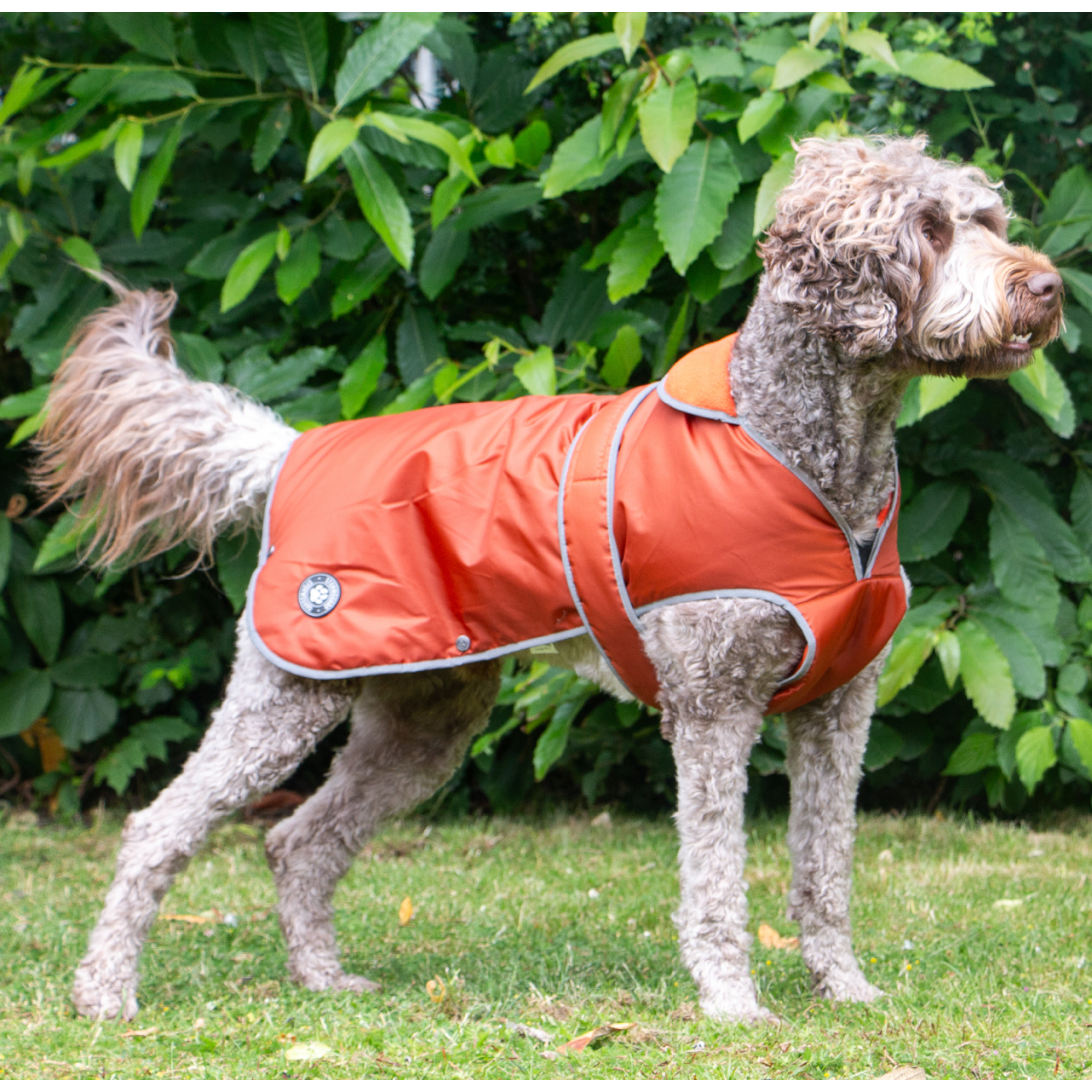 Stormguard Dog Coat Terracotta S