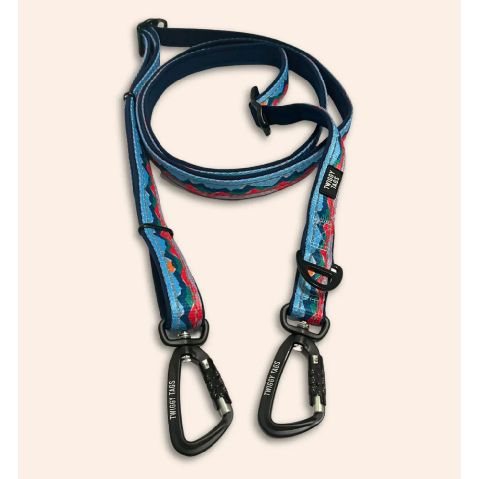 Twiggy Tags Trailfinder Multiway Lead Sierra