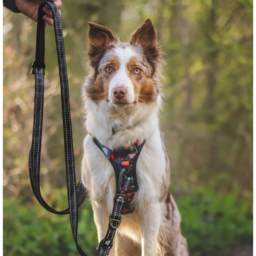 Twiggy Tags Trailfinder Multiway Lead Sierra
