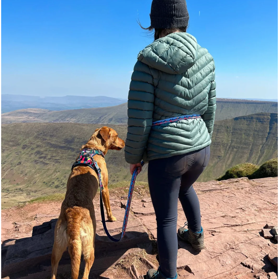 Twiggy Tags Trailfinder Multiway Lead Sierra