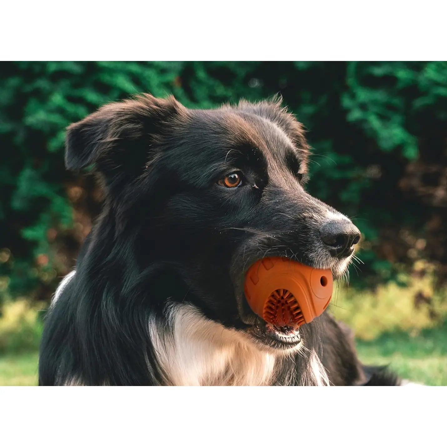 Duratoy Giggle Ball Dog Chew Toy Orange Duratoy