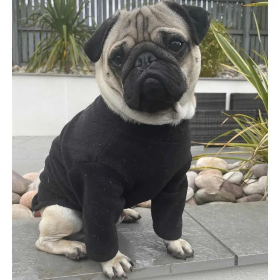 Pawsome Suits French Bulldog / Pug 2 Leg Fleece Suit Pawsome Suits