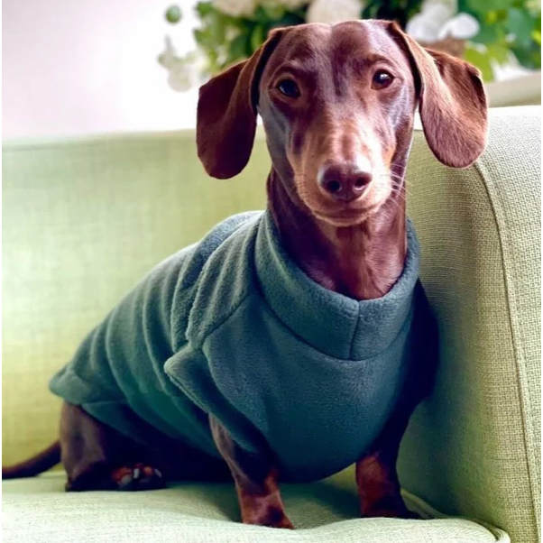 Pawsome Suits Dachshund Jumper In Polar Fleece