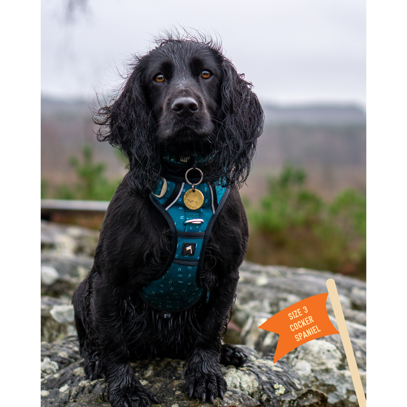 Twiggy Tags Tranquil Adventure Harness Size 3
