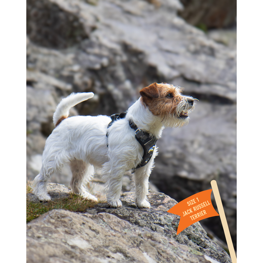Twiggy Tags Adventure Harness Petrichor - Size 1