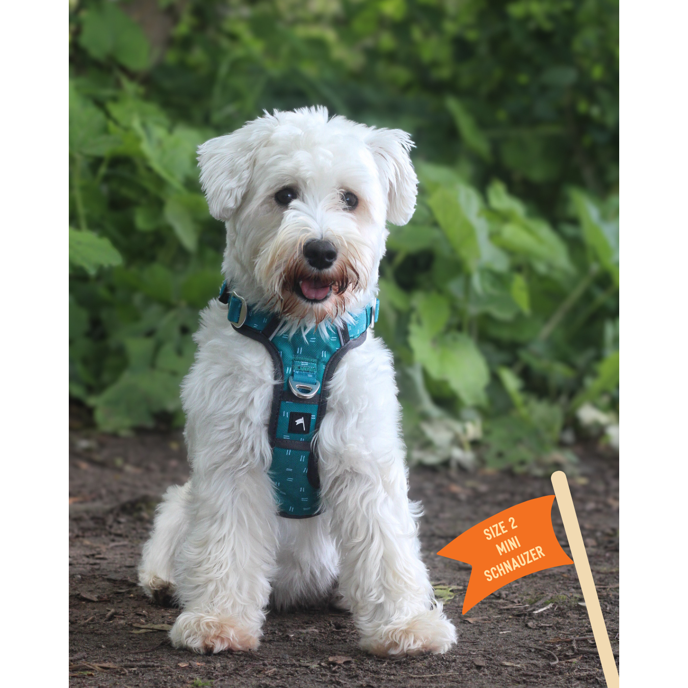 Twiggy Tags Tranquil Adventure Harness Size 2