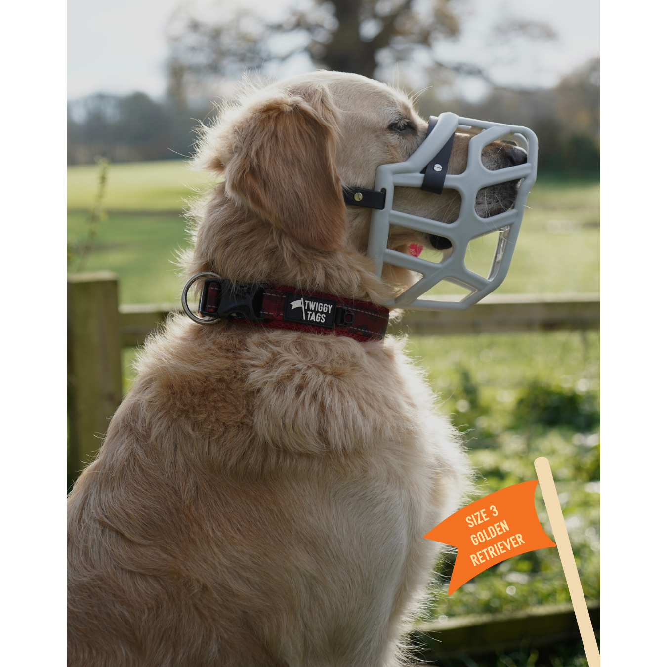 Twiggy Tags Collar Alpenglow Size 3