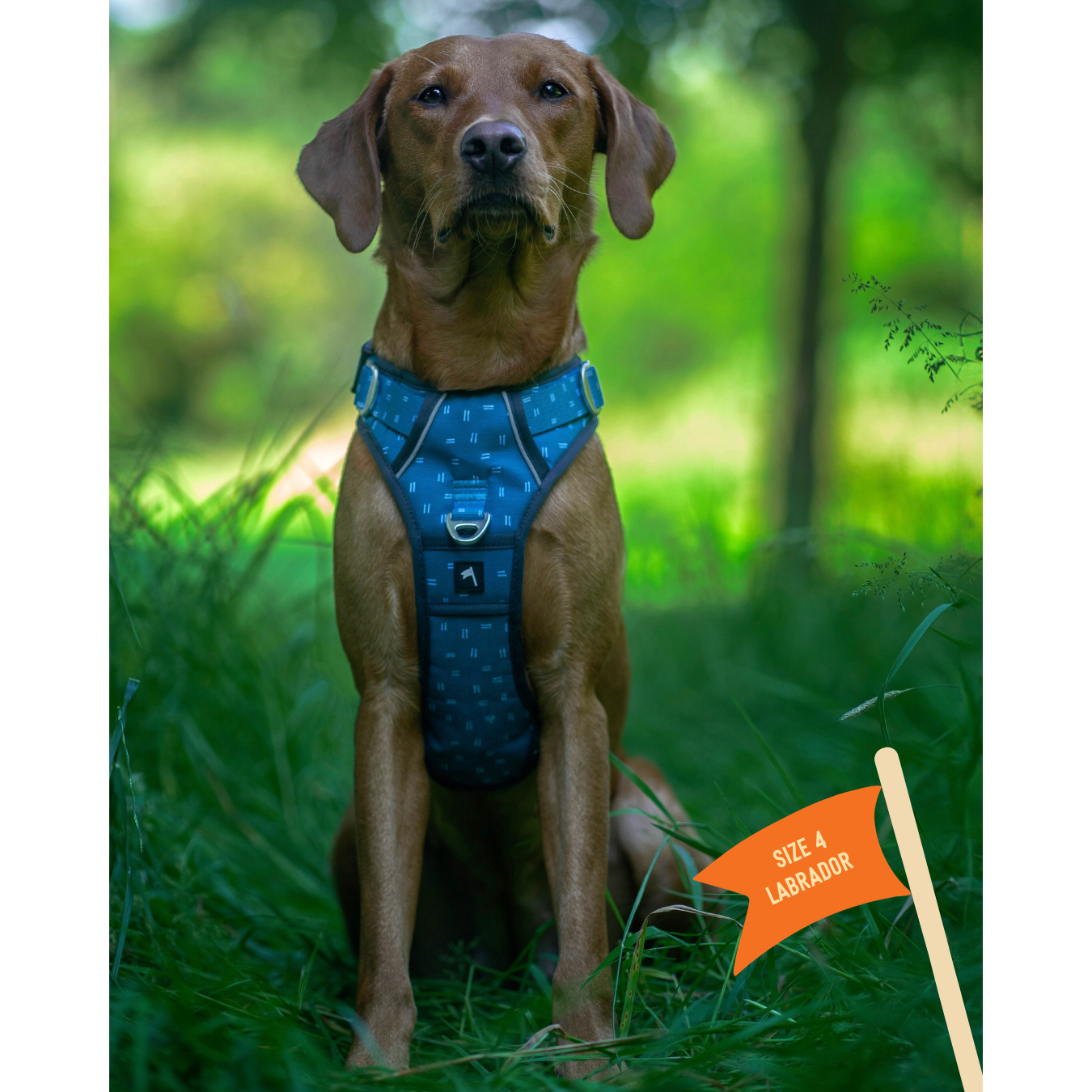 Twiggy Tags Tranquil Adventure Harness Size 4