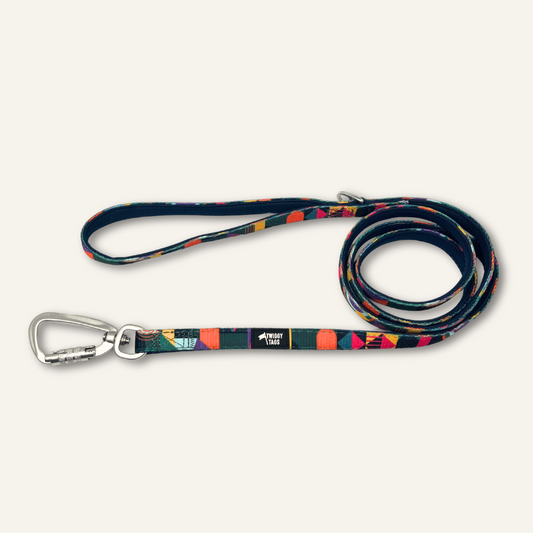 Twiggy Tags Adventure Lead Aurora Small 1.5m