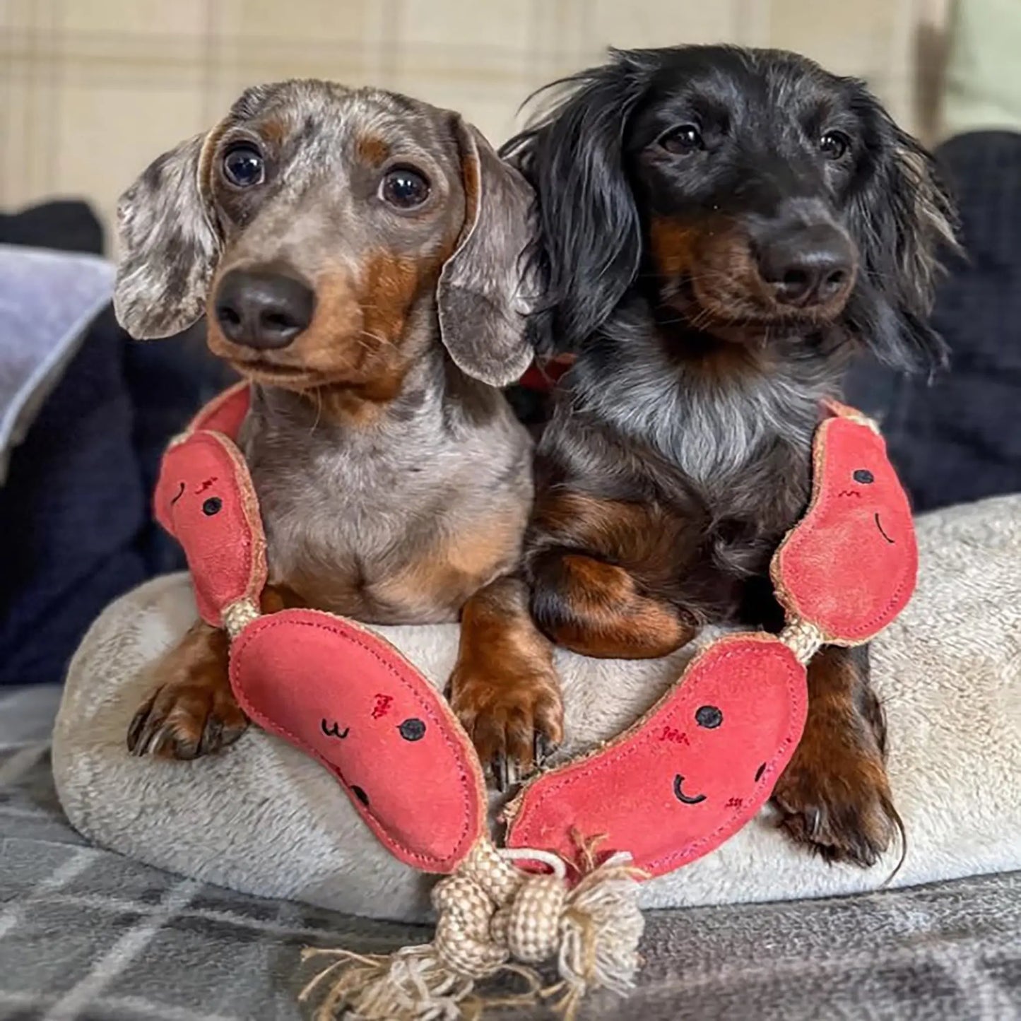 Green And Wilds Sizzle Sisters Eco Dog Toy Green & Wild's