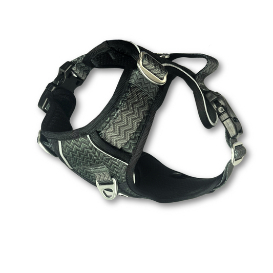 Twiggy Tags Adventure Harness Petrichor Size 2 Chest Girth 35-60cm