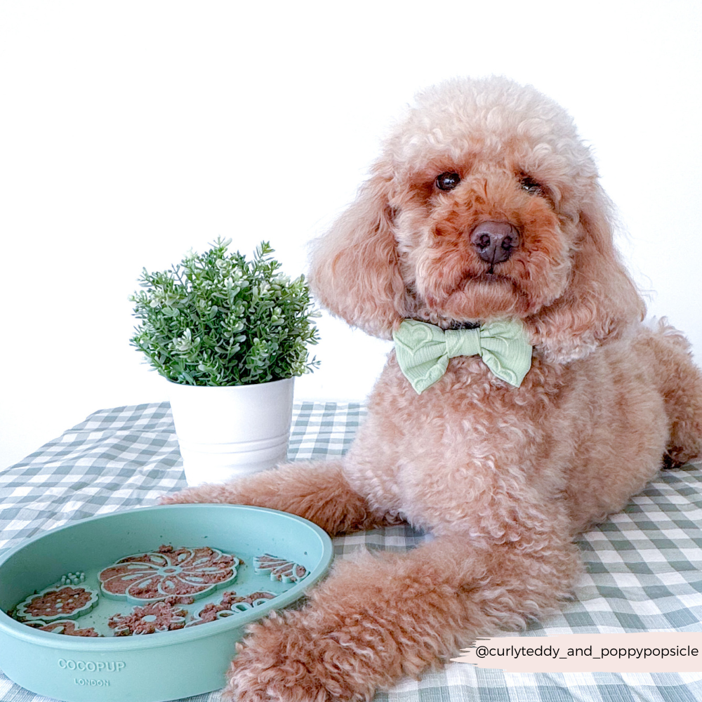 Cocopup London - Silicone Slow Feed Dog Bowl - Sage Flowers