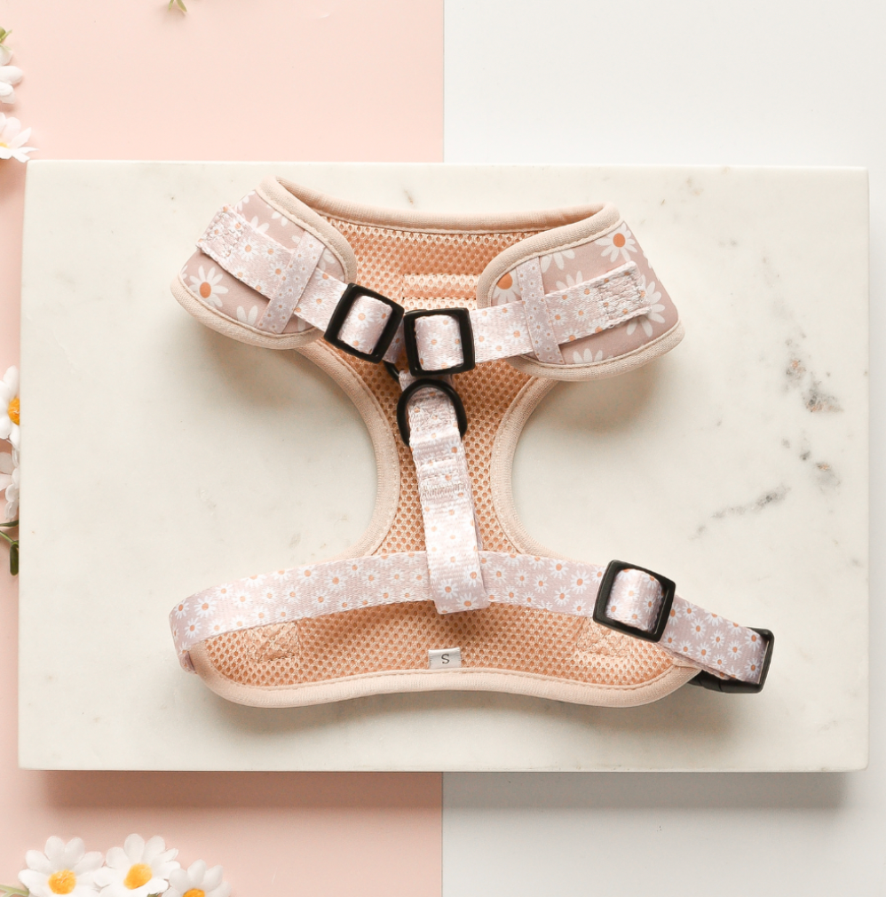 Daisy Chain Adjustable Neck Harness