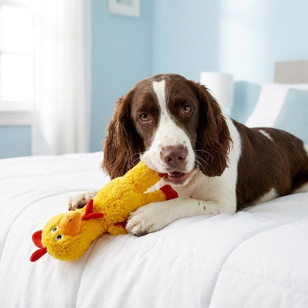 KONG Knots Chicken dog toy