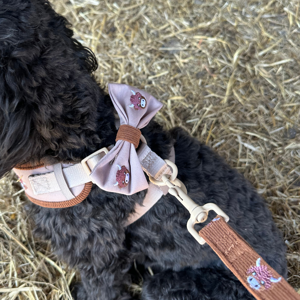 Cocopup London - Harold the Highland Cow Lead