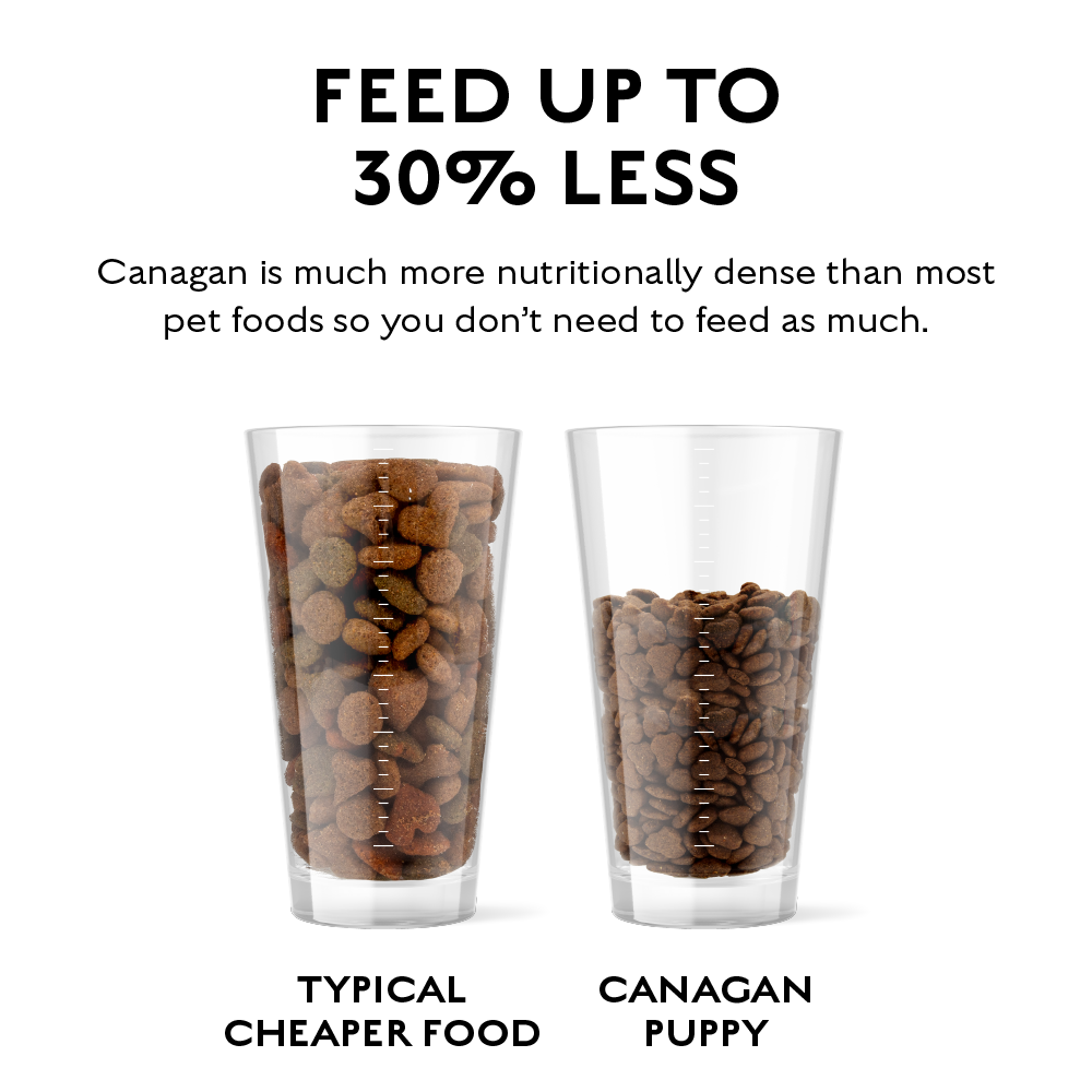 Canagan Puppy Dog Food 2kg