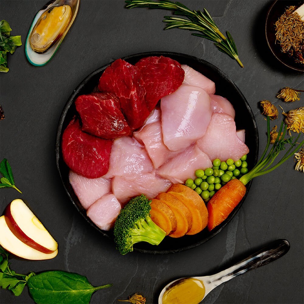 Canagan Can - Chicken & Wild Boar Casserole 400g