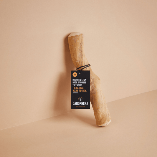 Canophera Coffee Wood Dog Chew Stick Medium