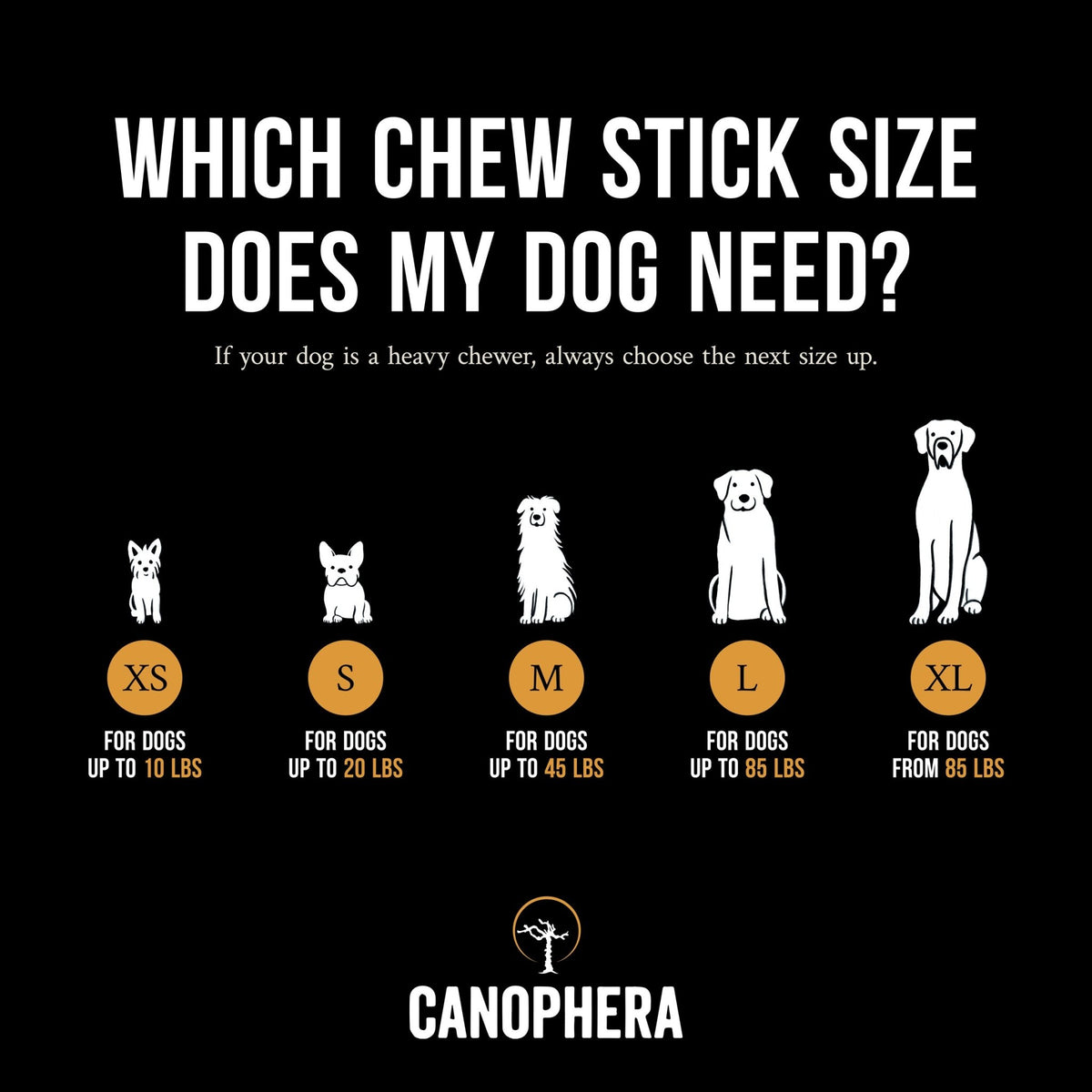 Canophera Coffee Wood Dog Chew Stick Medium