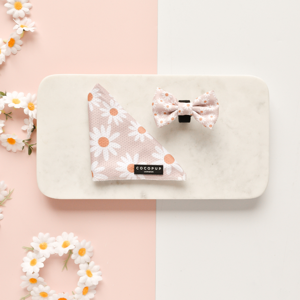 Daisy Chain Bandana