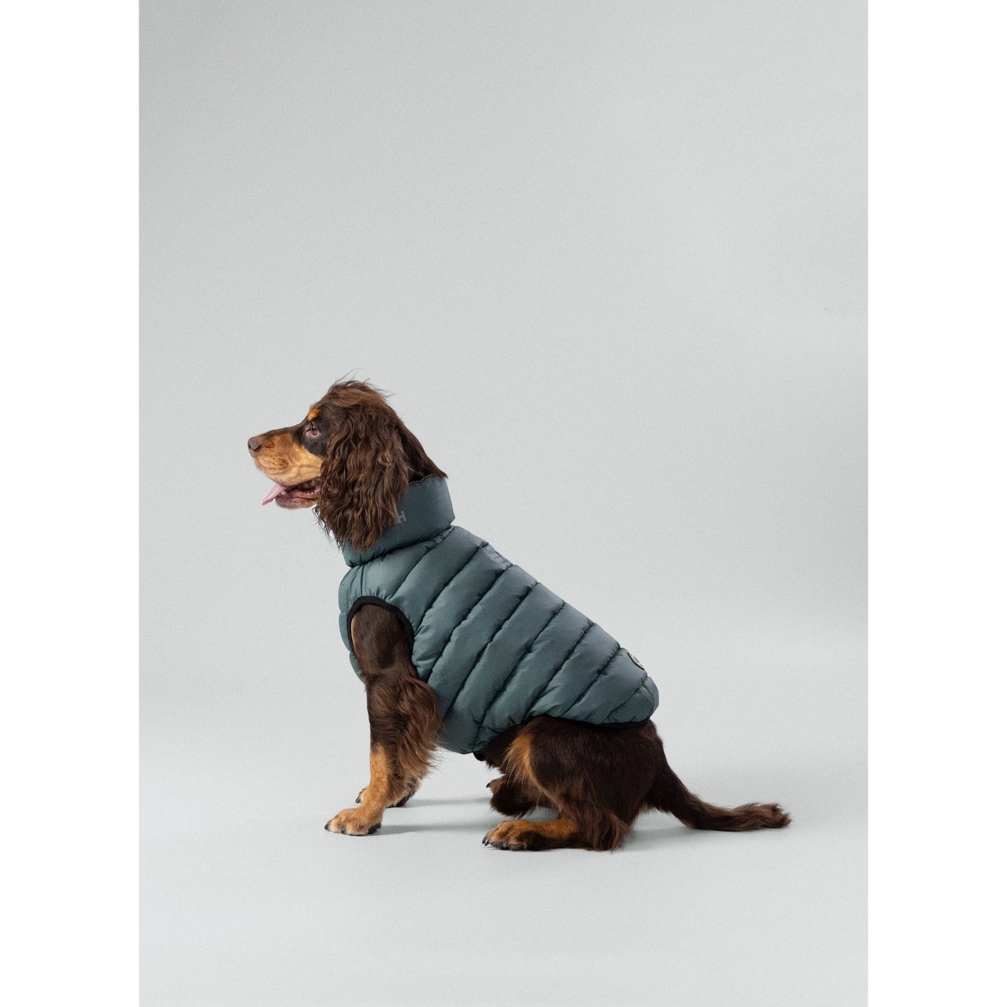 Hackett x Hugo Hudson Dog Puffer Jacket, Forest Green & Gold