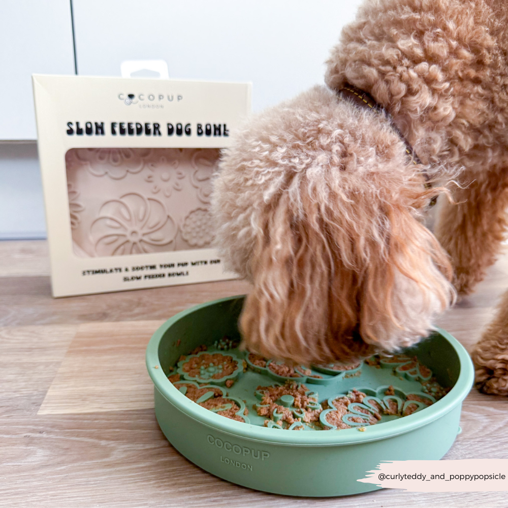 Cocopup London - Silicone Slow Feed Dog Bowl - Sage Flowers