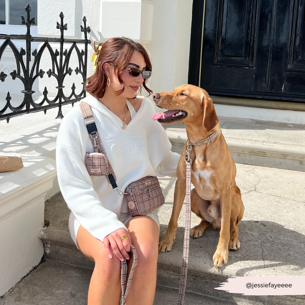 Cocopup London - Treat Pouch - Pup Plaid