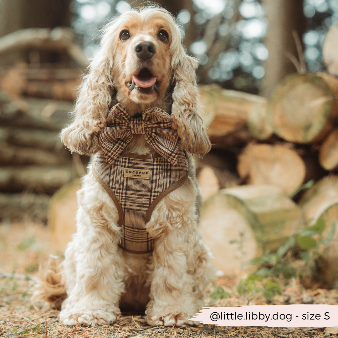 Cocopup London - Pup Plaid Sailor Bow Tie