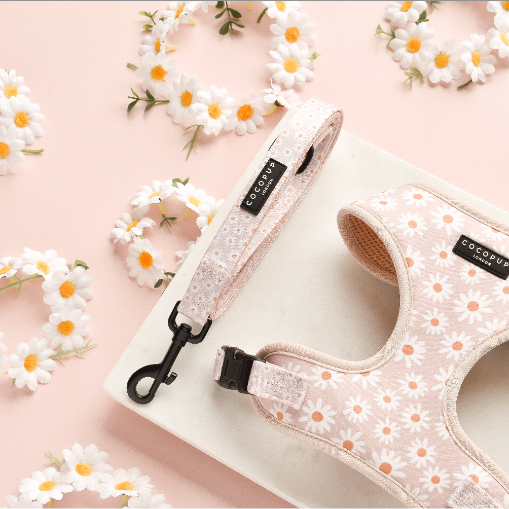 CocoPup London Daisy Chain Lead