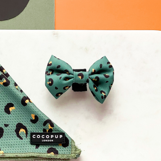 Cocopup London - Khaki Leopard Bow Tie
