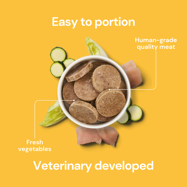 Nutriment Fresh Chicken Raw Dog Food Medallions - with Chicory & Courgette - 800g