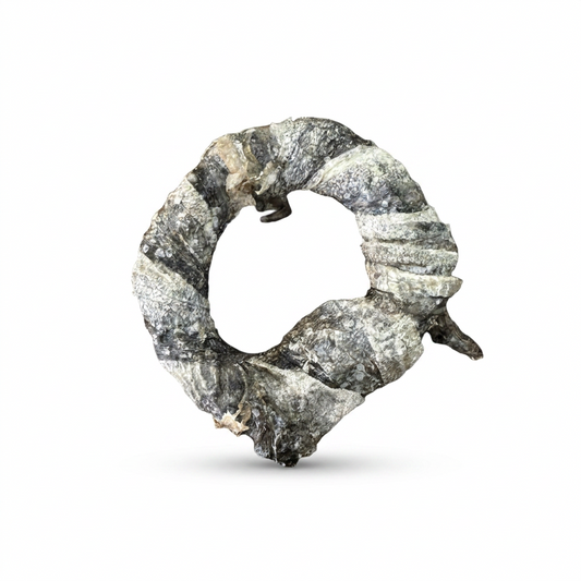 Fish Skin Donut natural dog treat, studio product photo on white background - Origin Pets