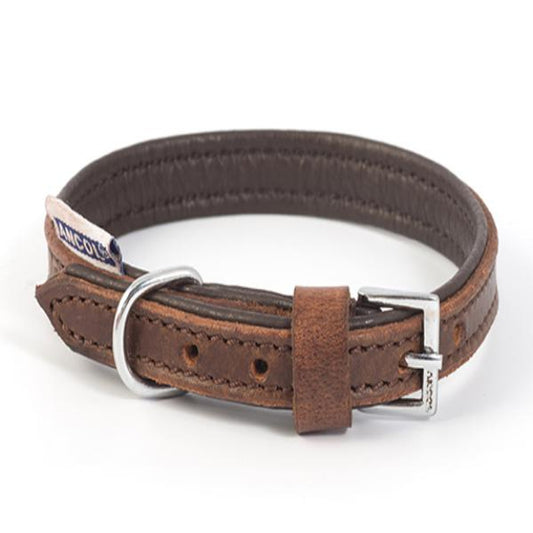 Ancol Vintage Leather Padded Collar with Adjustable Fit for Comfortable Wear