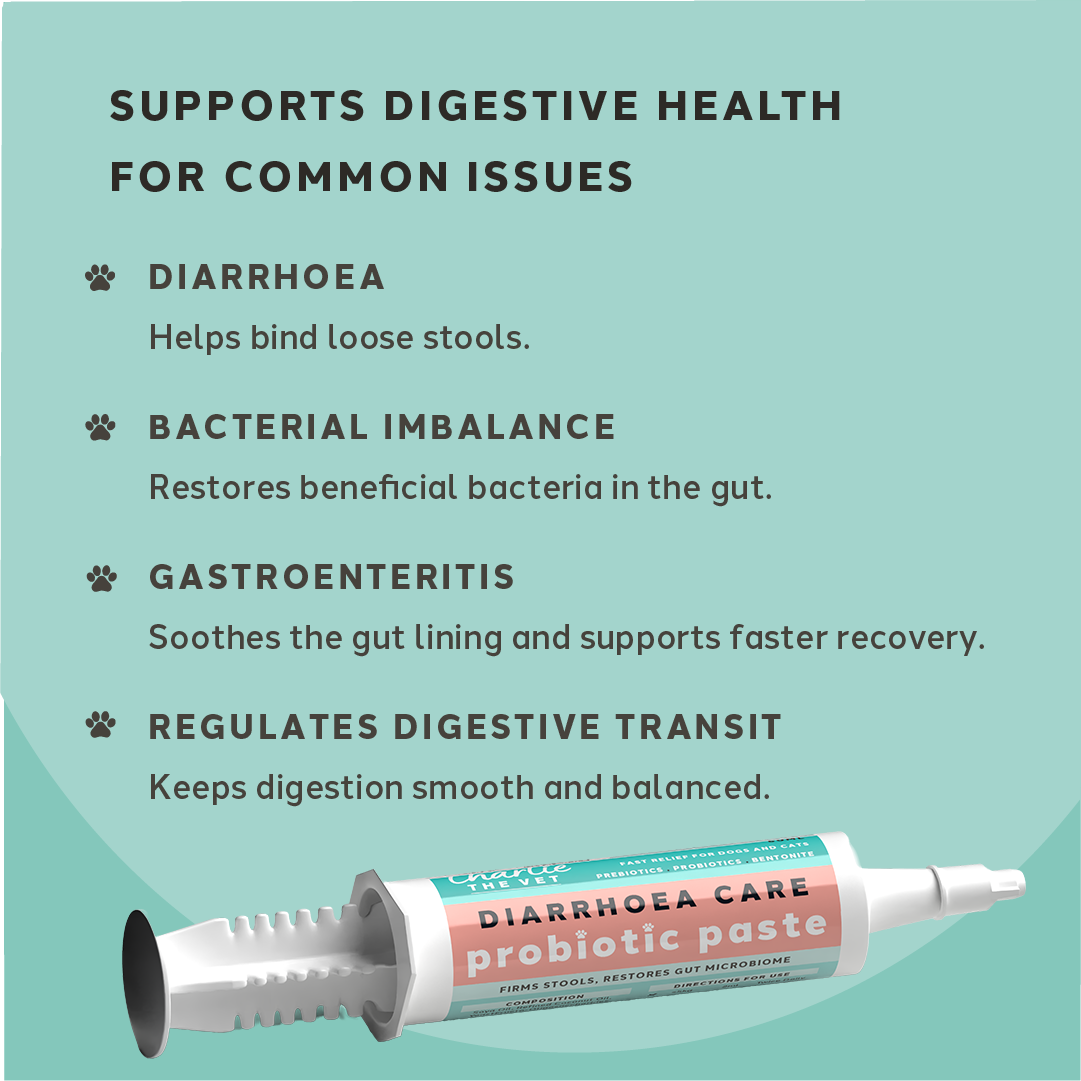 Charlie The Vet Diarrhoea Care Probiotic Paste For Dogs & Cats 30ml