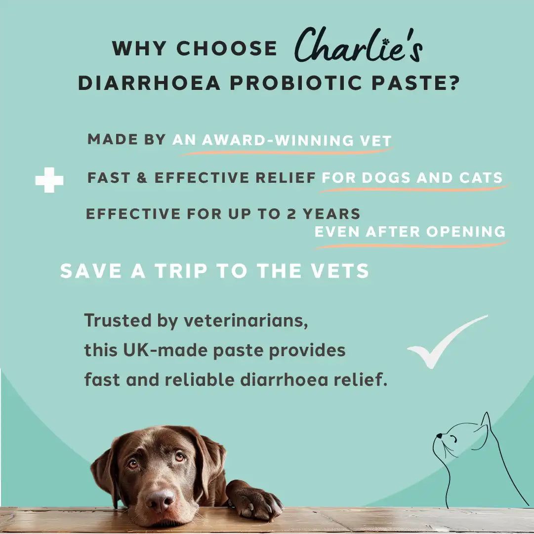 Charlie The Vet Diarrhoea Care Probiotic Paste For Dogs & Cats 30ml