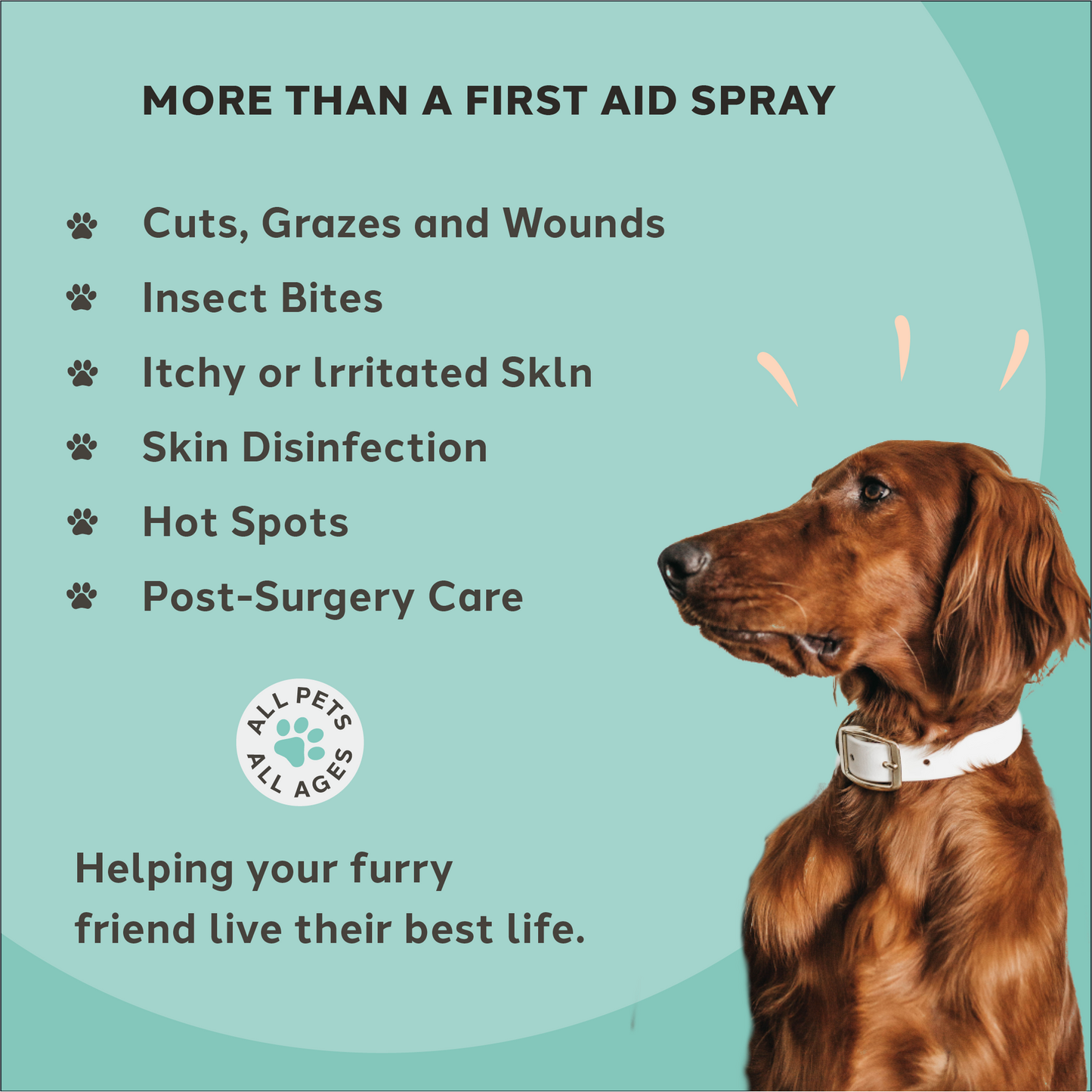 Charlie the Vet Wound & Skin Care Spray 100ml