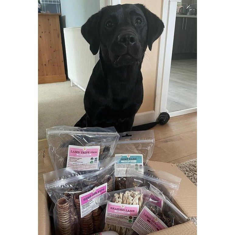 Natural 100% Beef Trachea Dog Treat - 1kg