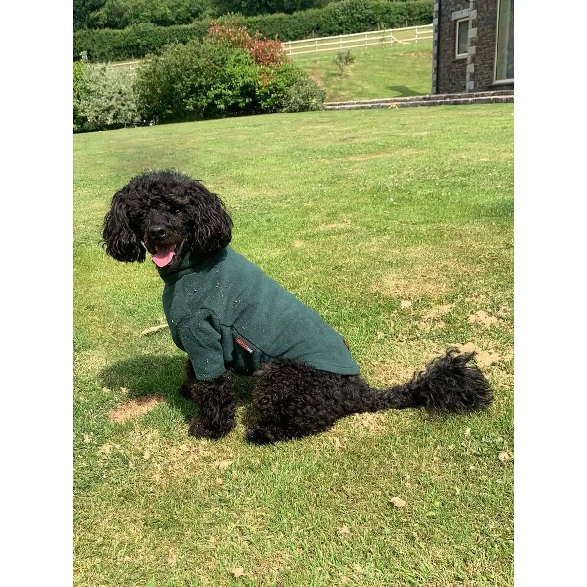 HOTTERdog Dog Jumper - Forest Green - Medium Equafleece