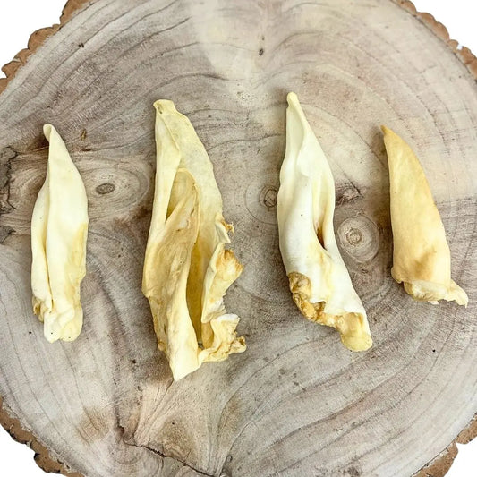 Lambs ear Origin Pets Longton