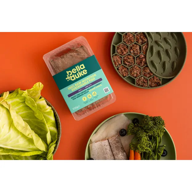Bella+Duke Sustainable Fish complete raw dog food 500g tub