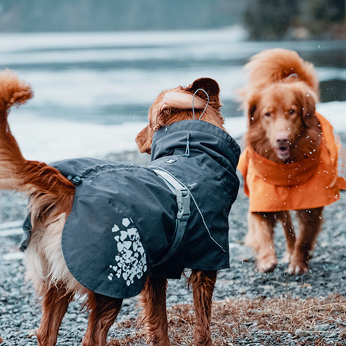 Hurtta Monsoon Coat ECO in Blackberry