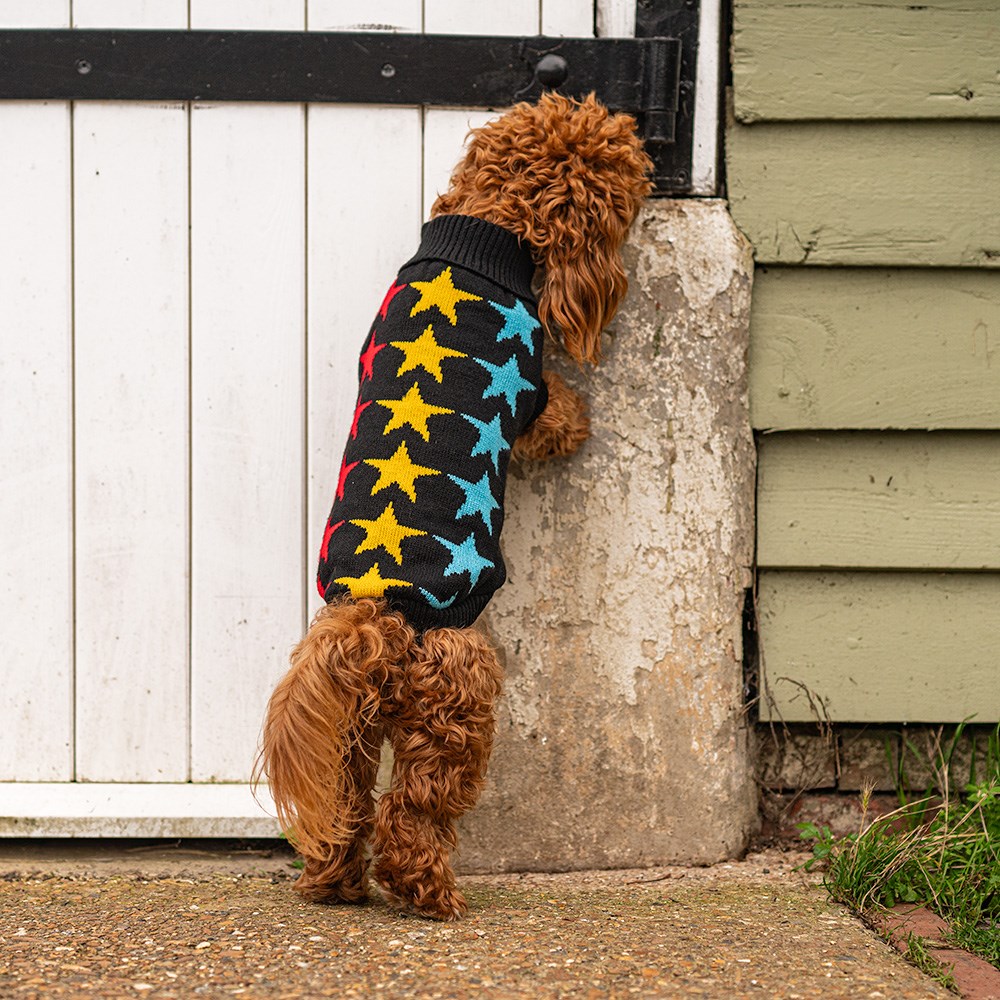 Penrose Kitted Jumper Star Pattern