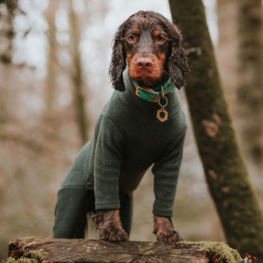 Pawsome Suits - 4 Leg Dog Suit in Polar Fleece